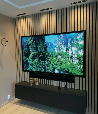 TV